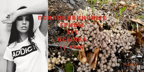 тгк Михайловка