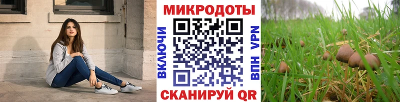 kraken рабочий сайт  Малаховка  Галлюциногенные грибы мухоморы 